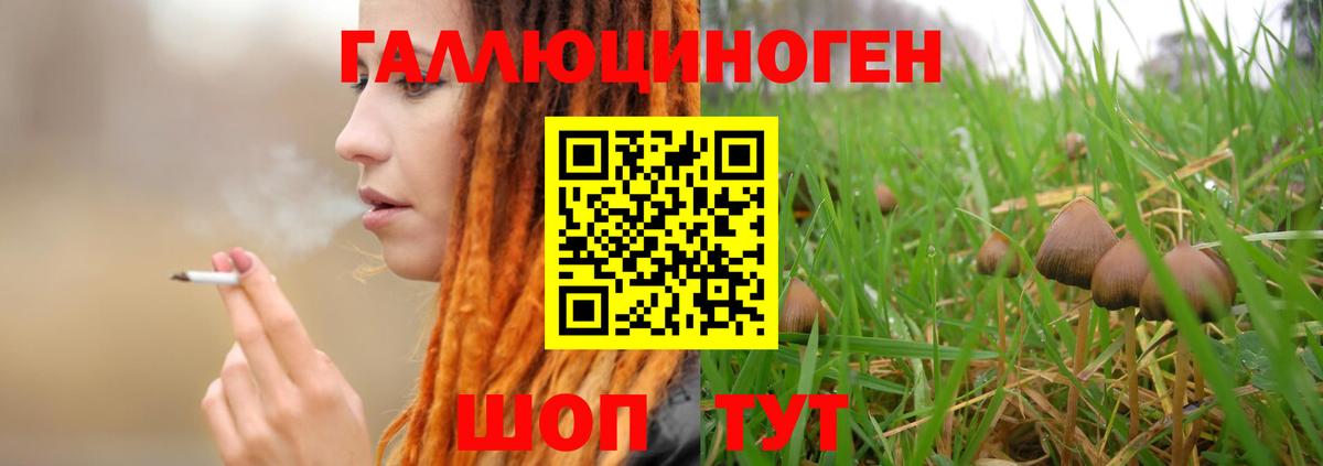Будённовск  Псилоцибиновые грибы Cubensis  Псилоцибиновые грибы мухоморы  Вход с VPN 